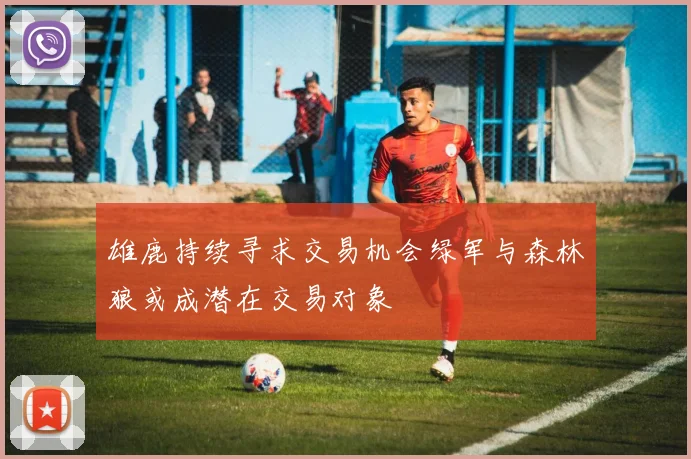 雄鹿持续寻求交易机会绿军与森林狼或成潜在交易对象