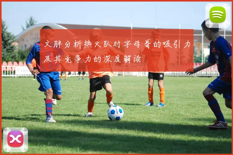 文胖分析热火队对字母哥的吸引力及其竞争力的深度解读